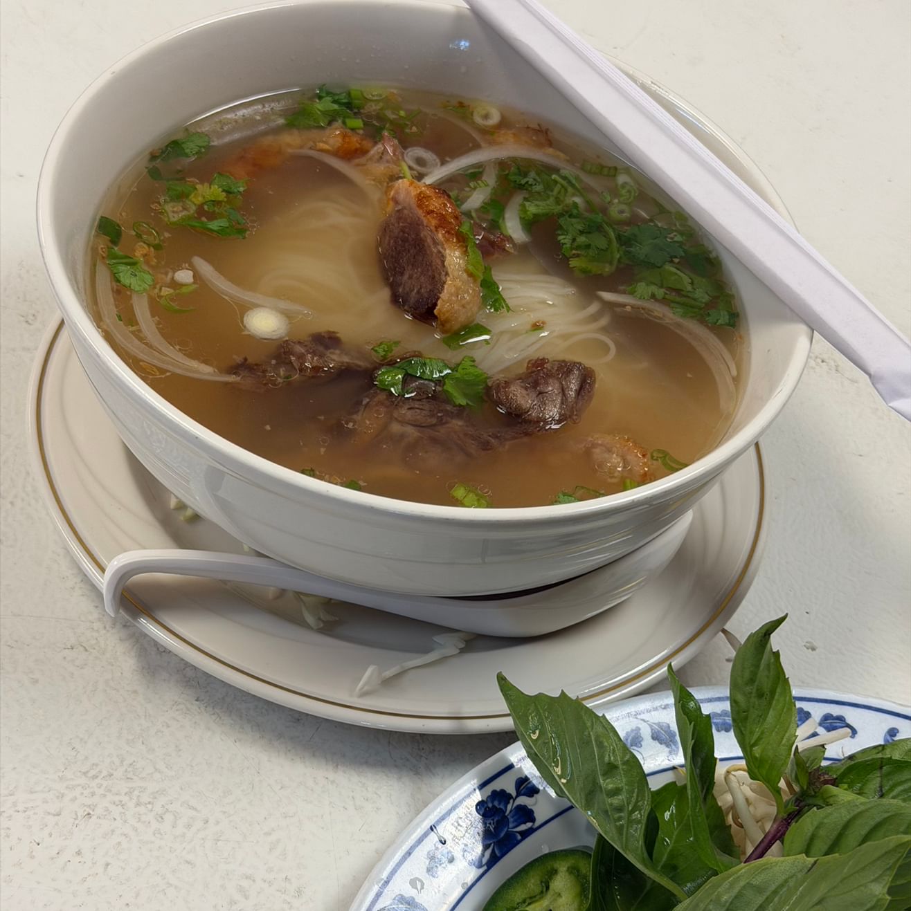 Pho Duck