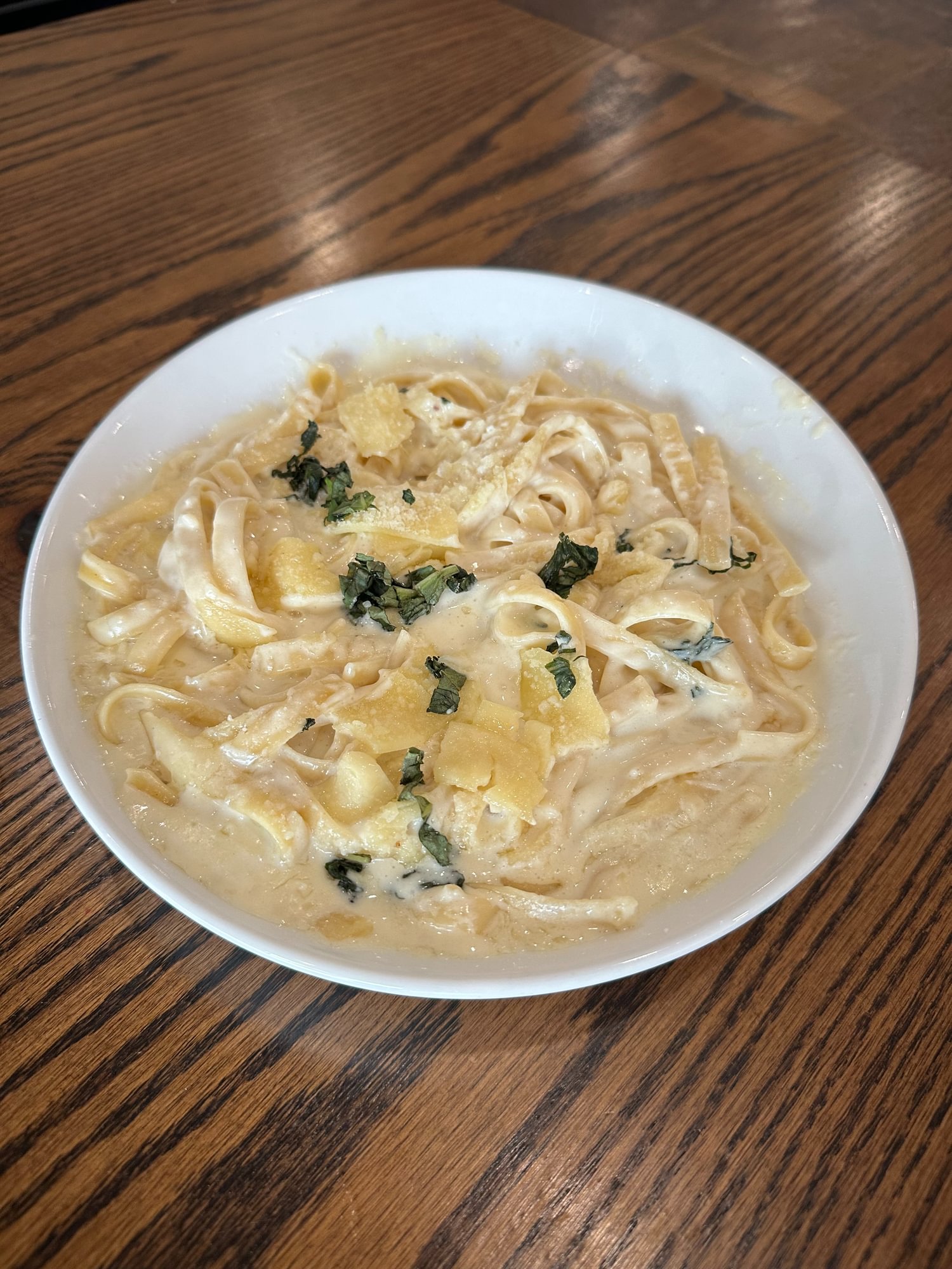 Fettuccine Alfredo (Special)
