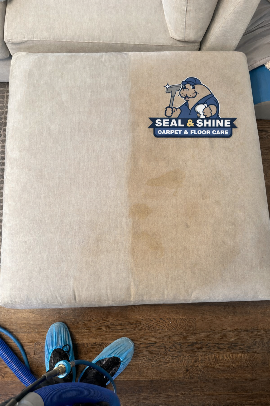 Seal & Shine Carpet & Floor Care