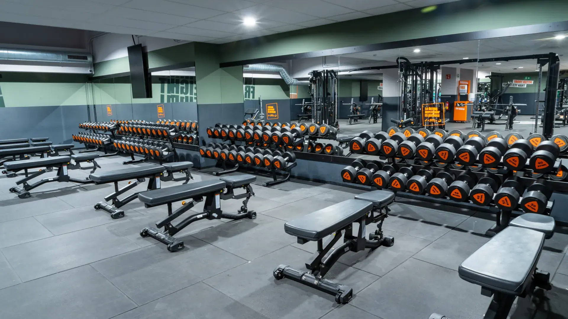 Galería de imágenes