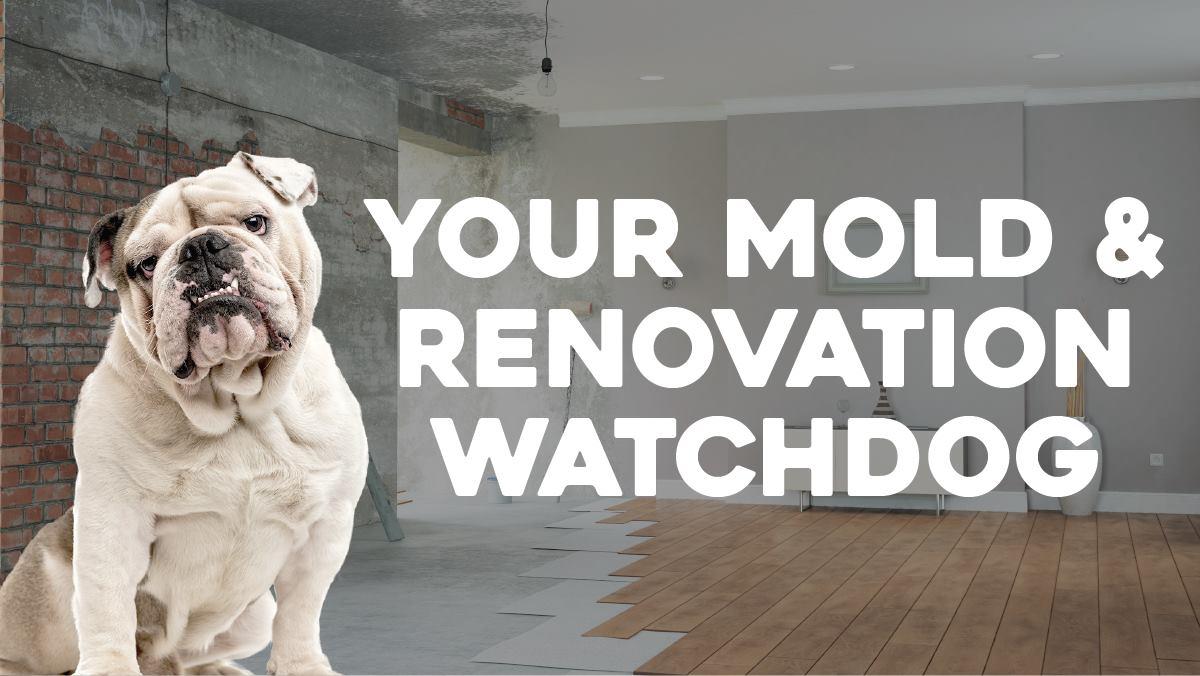 Reno Renovation Corp Logo