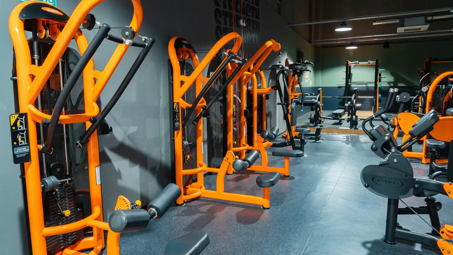 Galería de imágenes