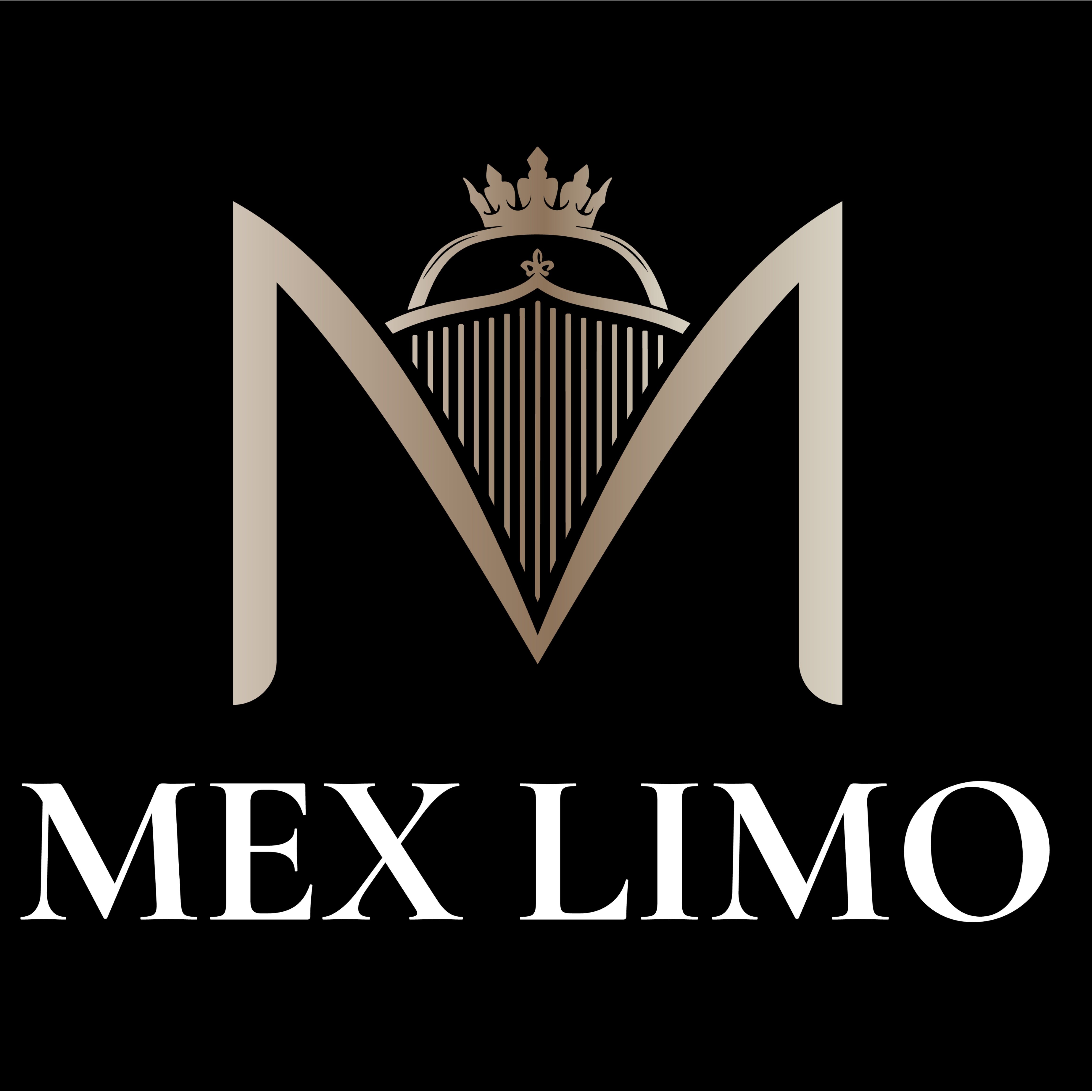 Mex Limousine Service LLC.