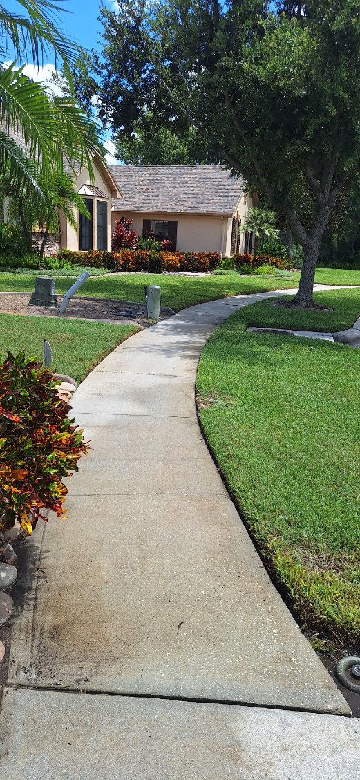 Window Hero Northern Tampa Image