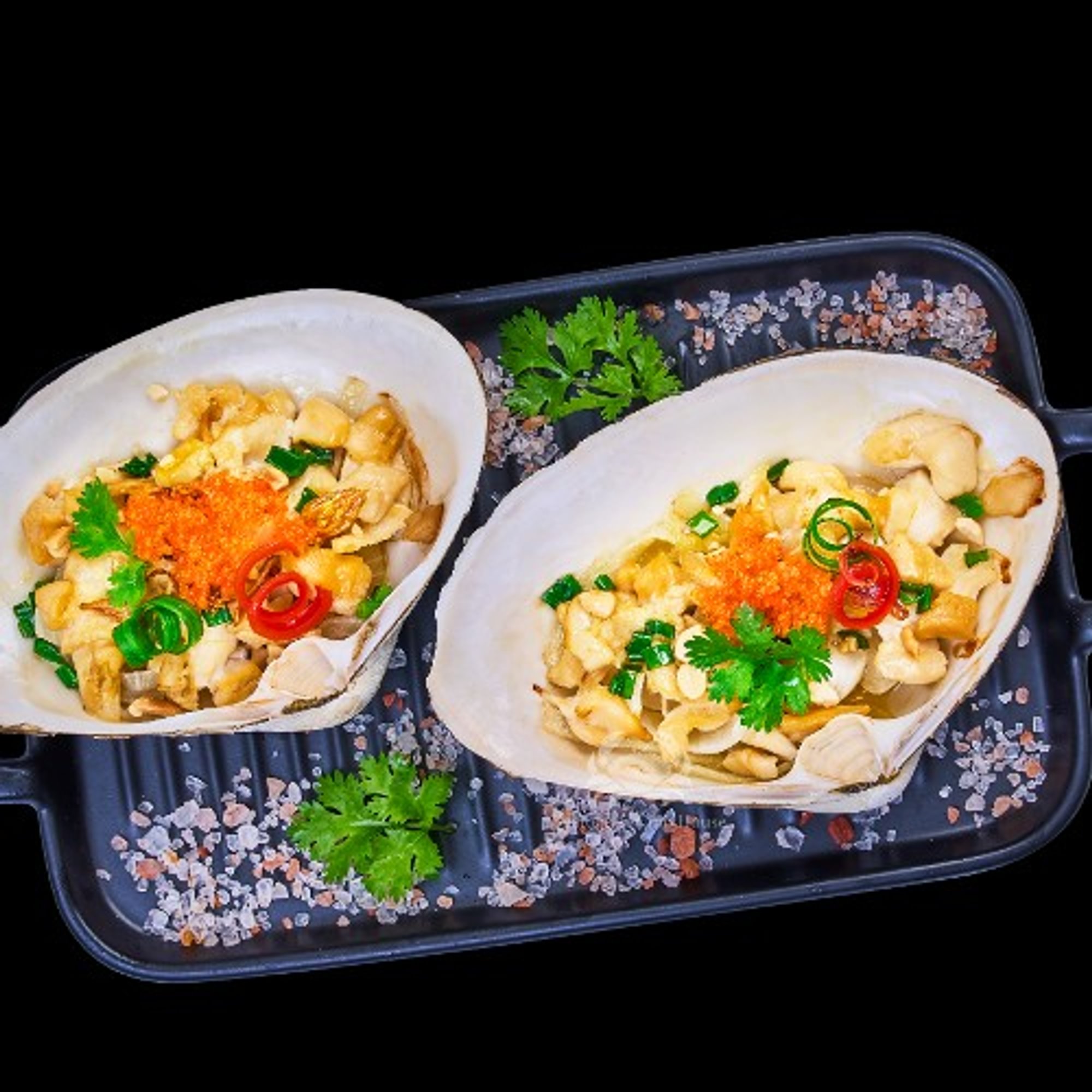 Giant Surf Clam / Sò Nhật