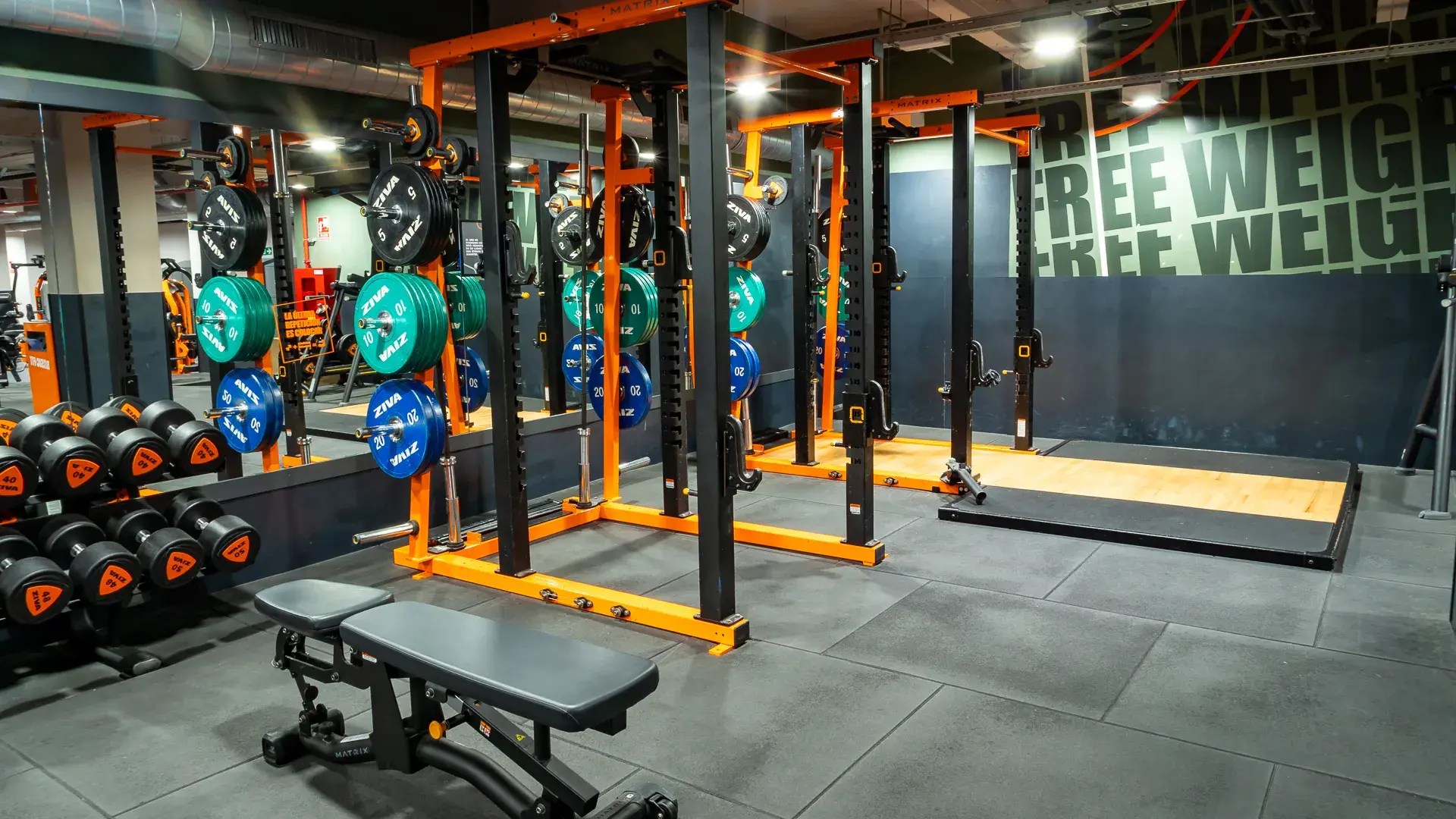 Galería de imágenes