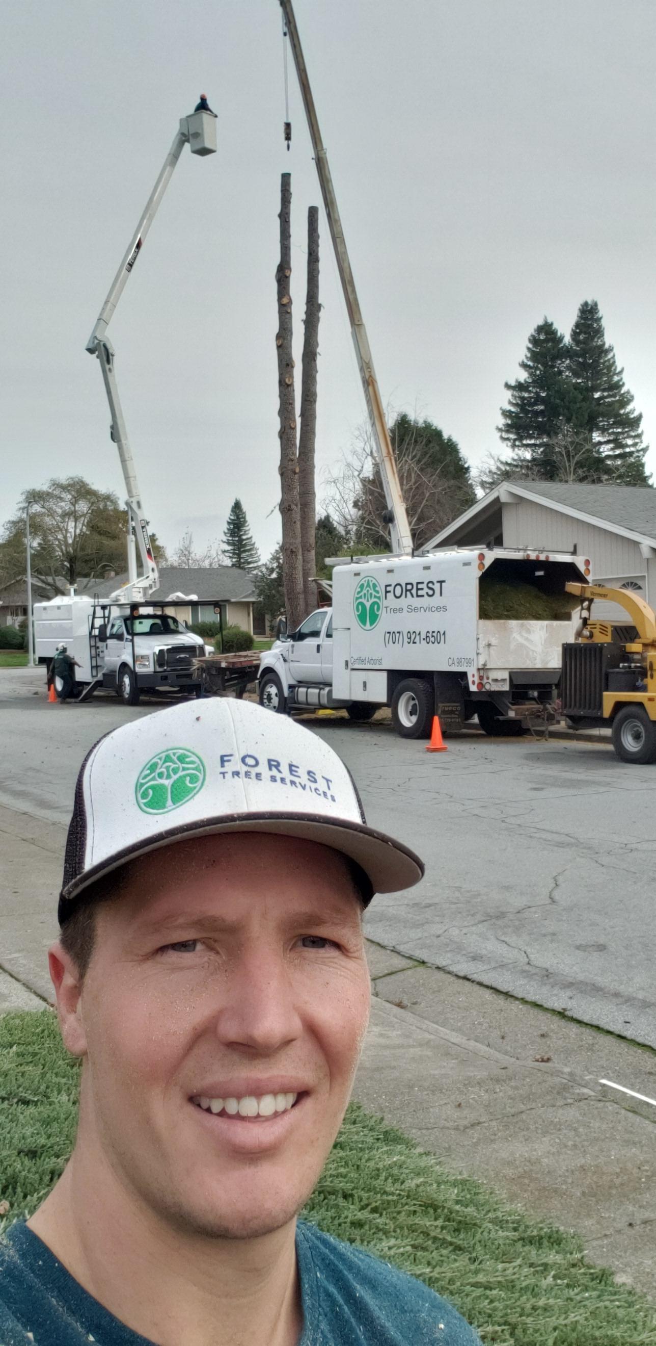 Forest Tree Services Inc. Photo