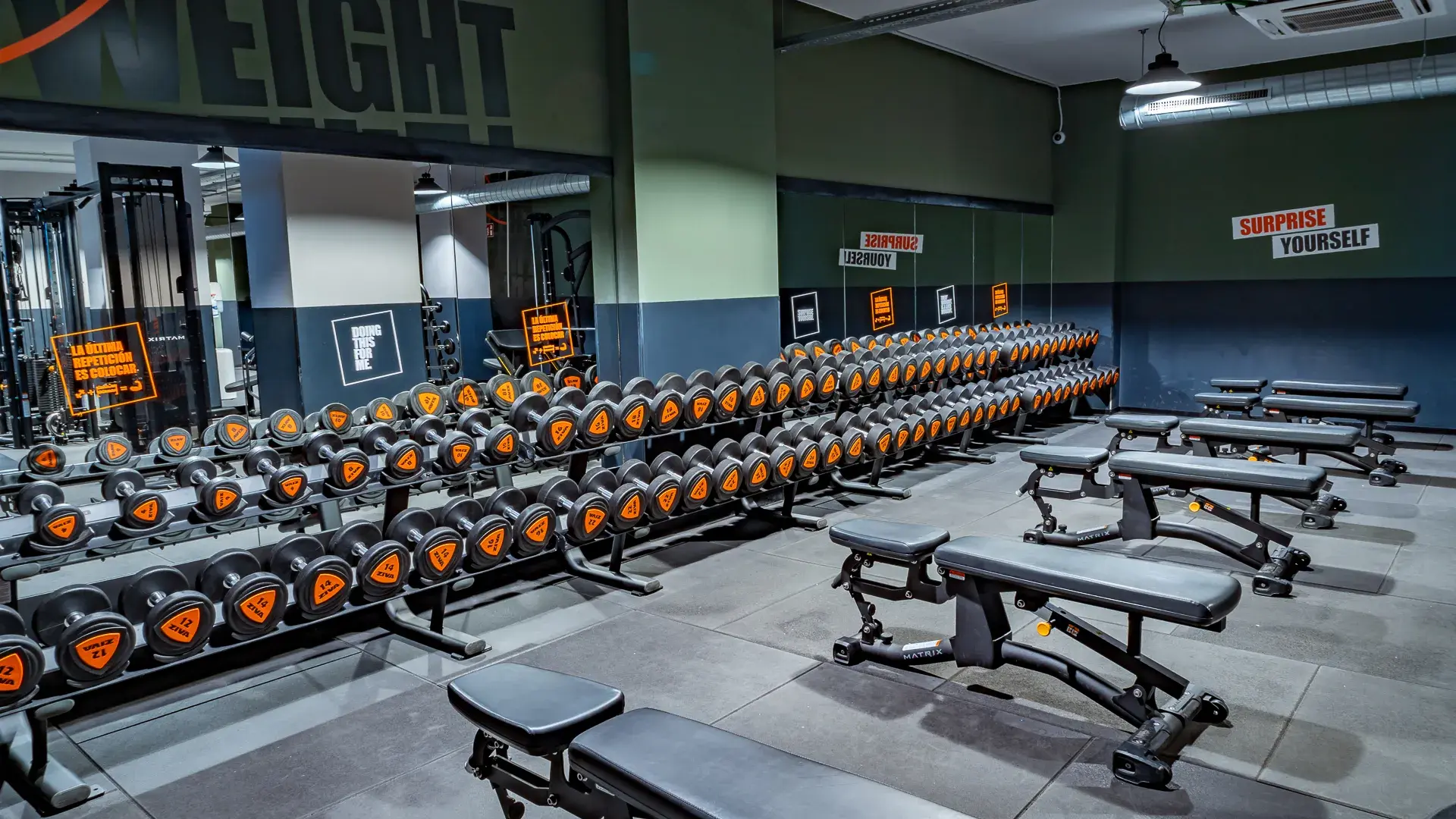 Galería en miniatura