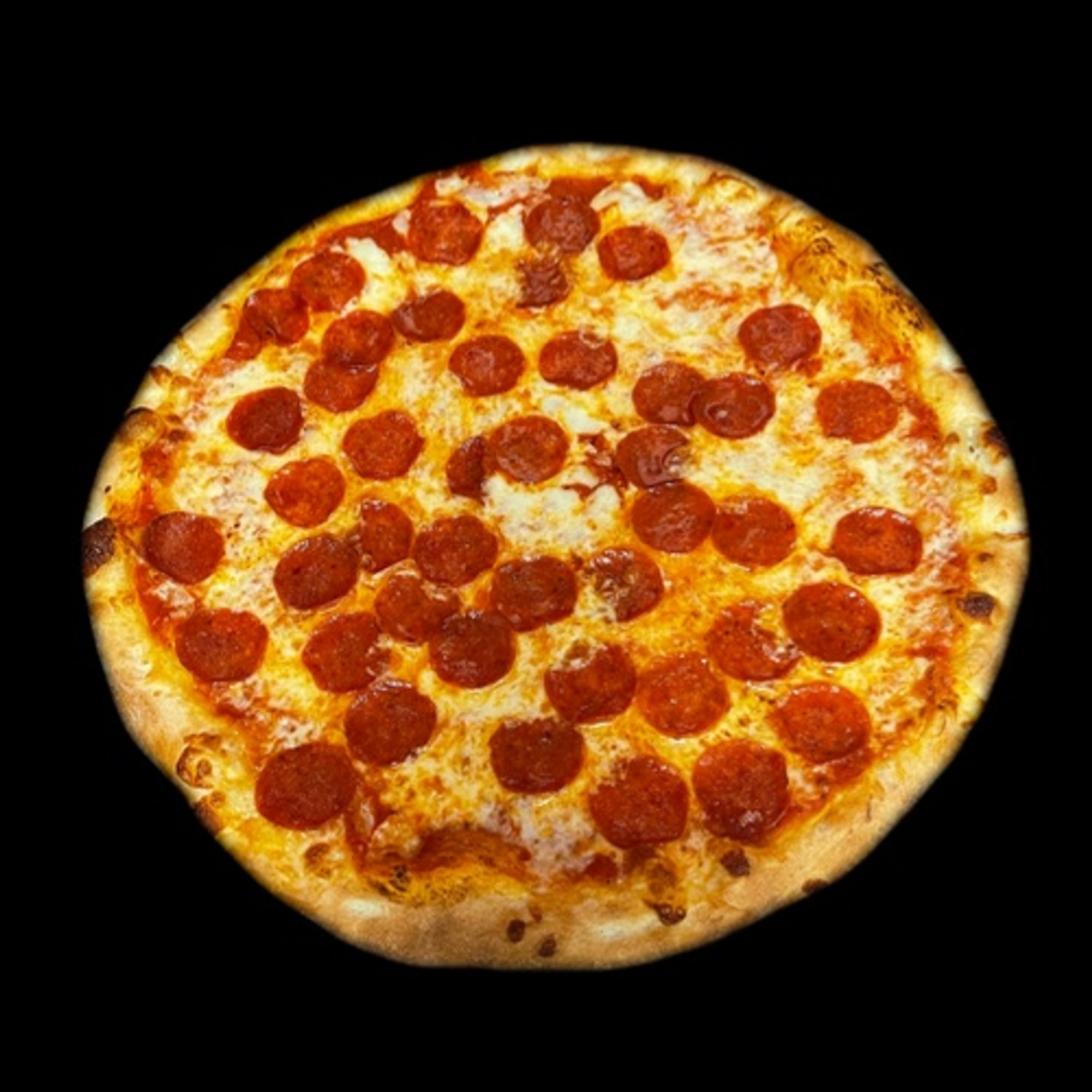 Large One Topping Pizza Special (Special)