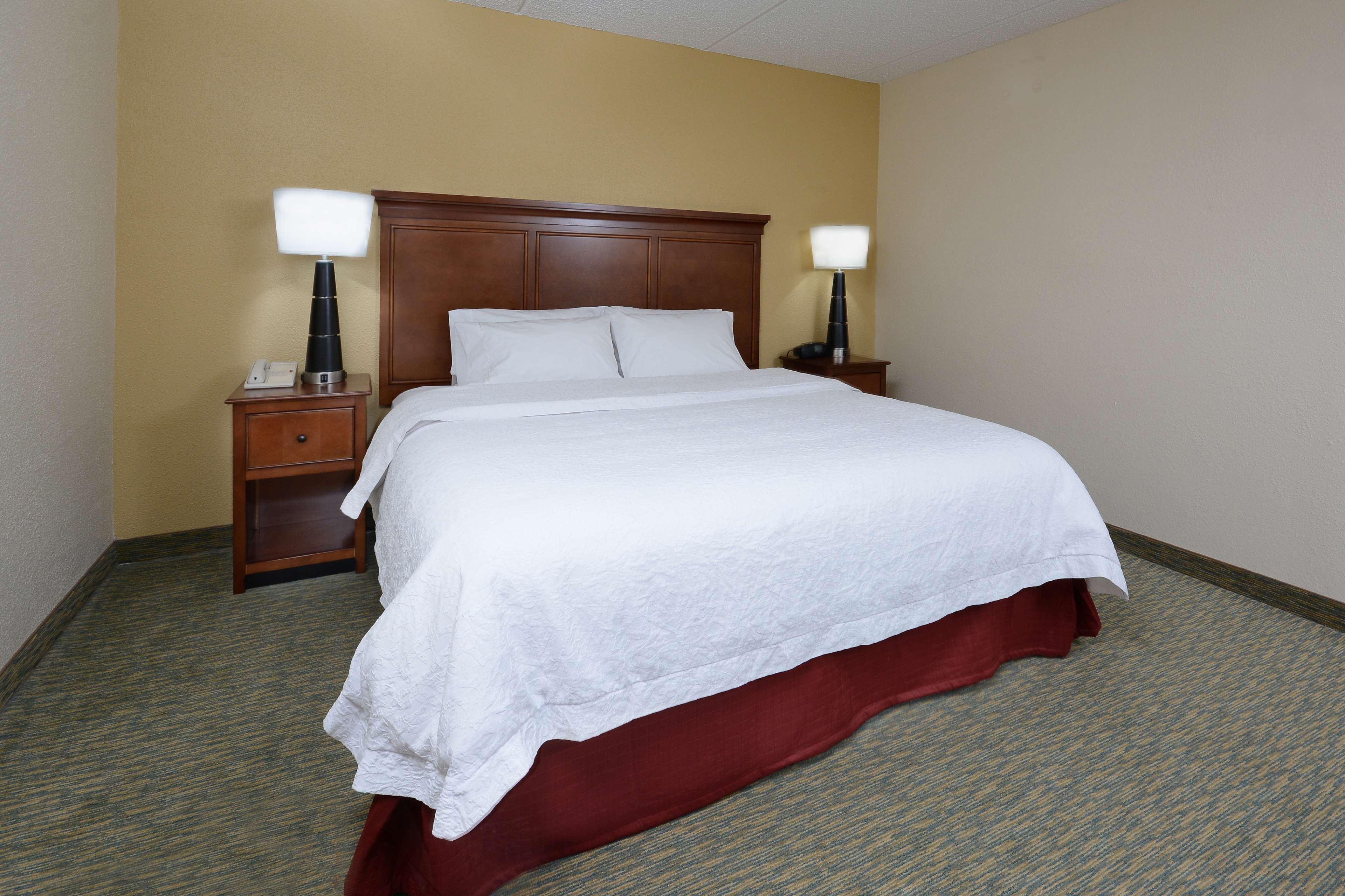 Hampton Inn Raleigh/Durham-Airport Photo