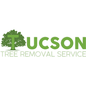 Tucson Tree Removal Service Photo
