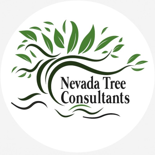 Nevada Tree Consultants