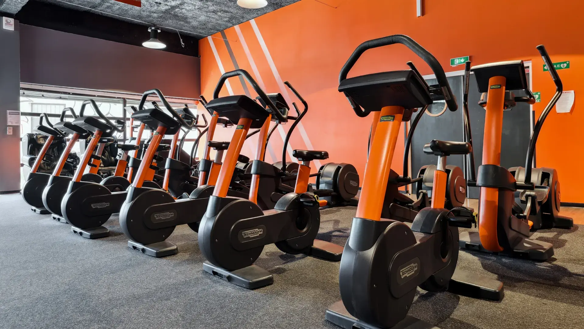 Miniature de la galerie