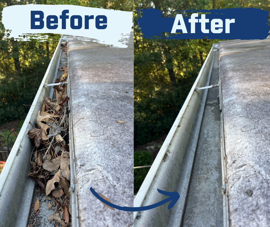 Window Hero Charlotte Image