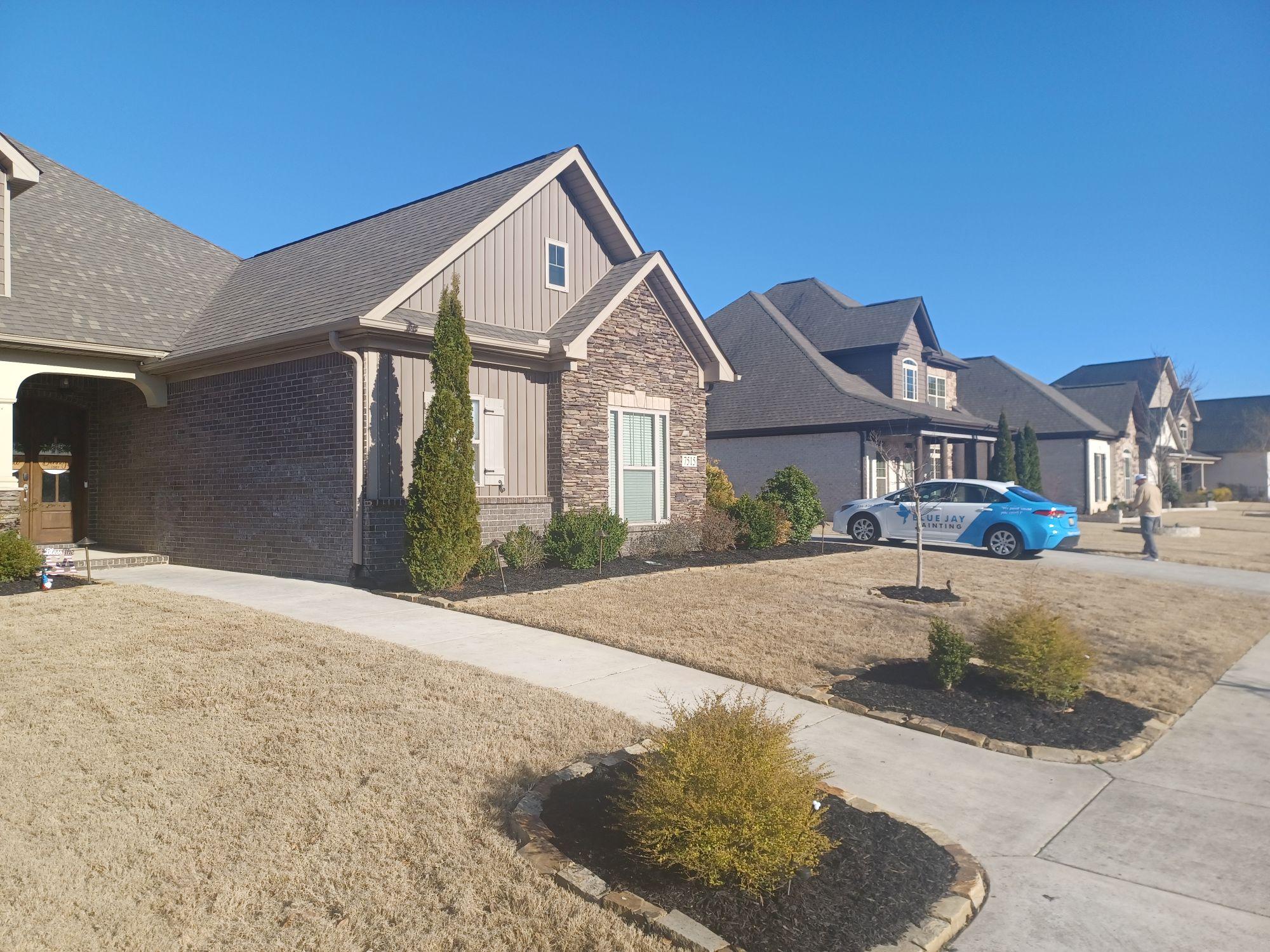 Blue Jay Painting Image