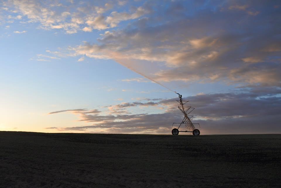 Skone Irrigation Inc.