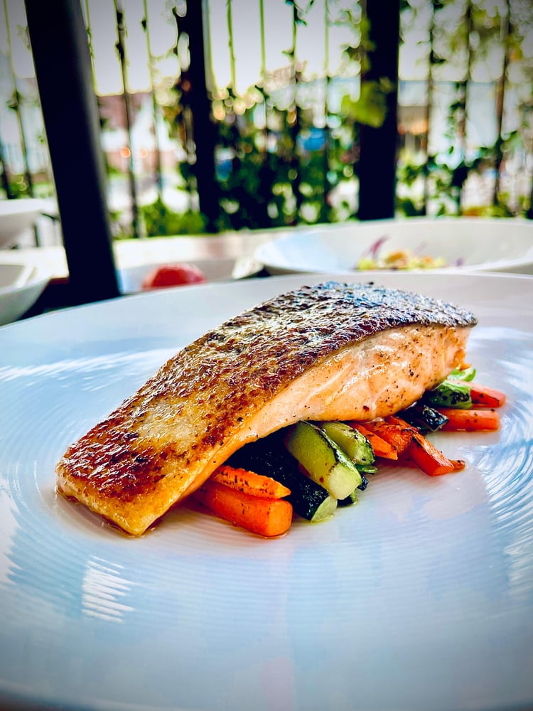 Salmon