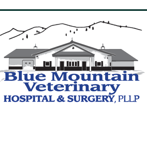 Blue Mountain Veterinary Hospital
