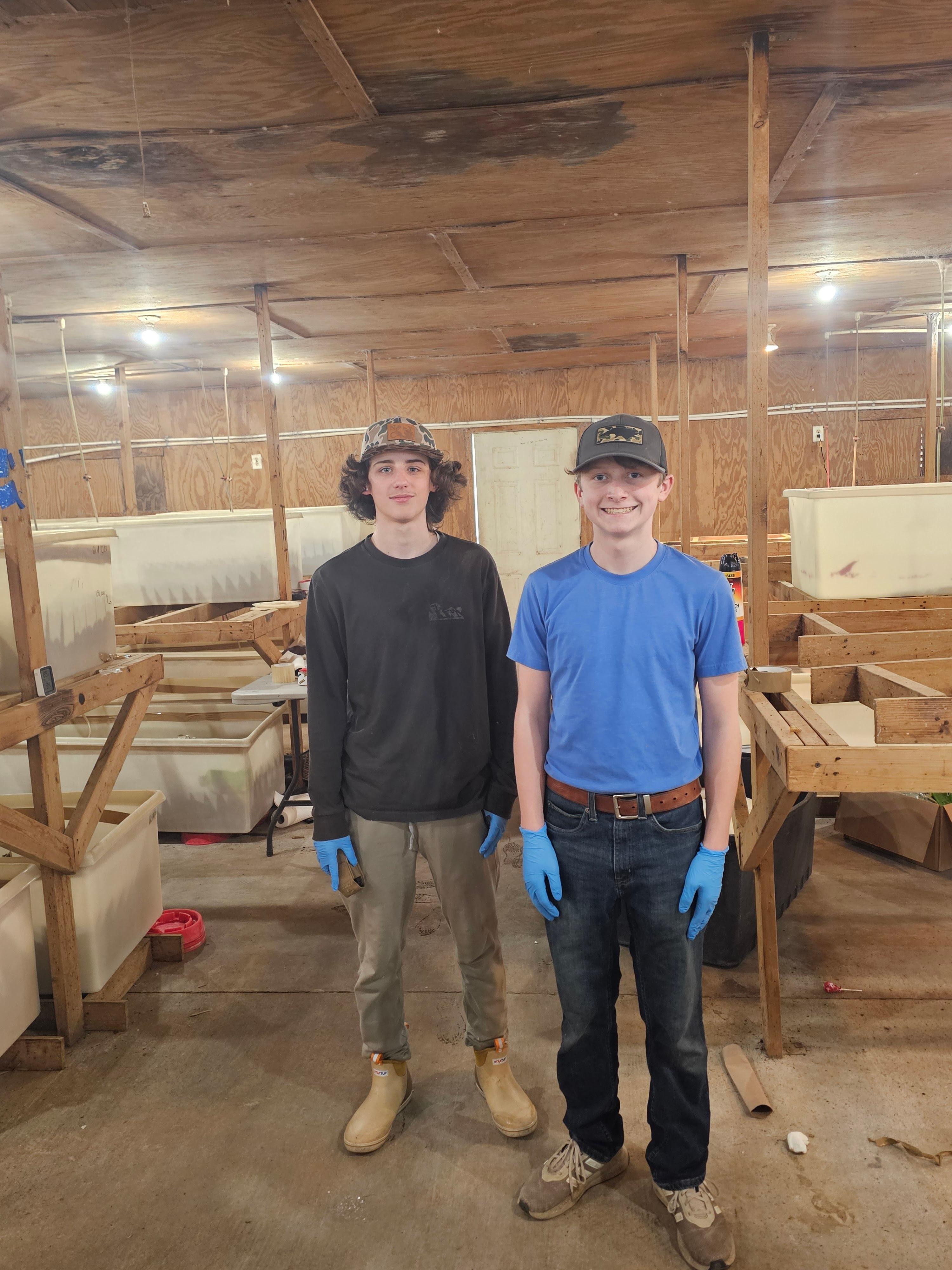 Carolina Crickets Image