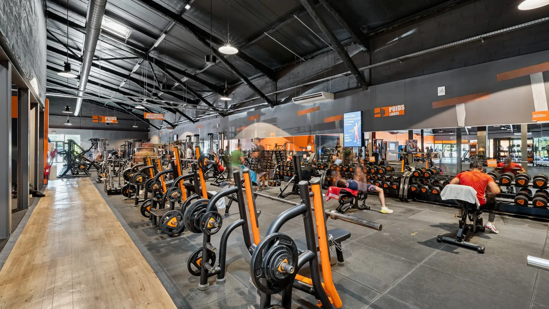 Miniature de la galerie