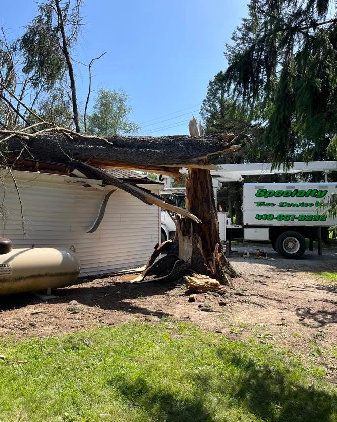 Specialty Tree & Bucket Service Image