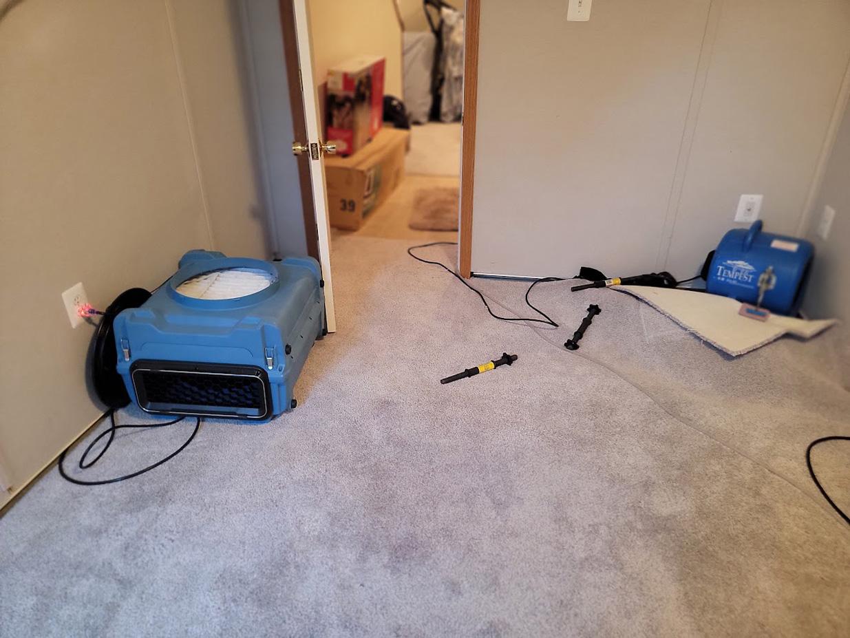 My Carpet Cleaning & Restoration Service Image