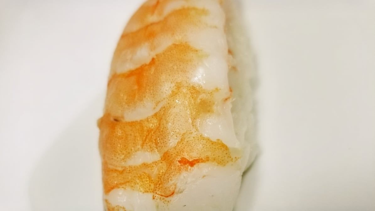Shrimp