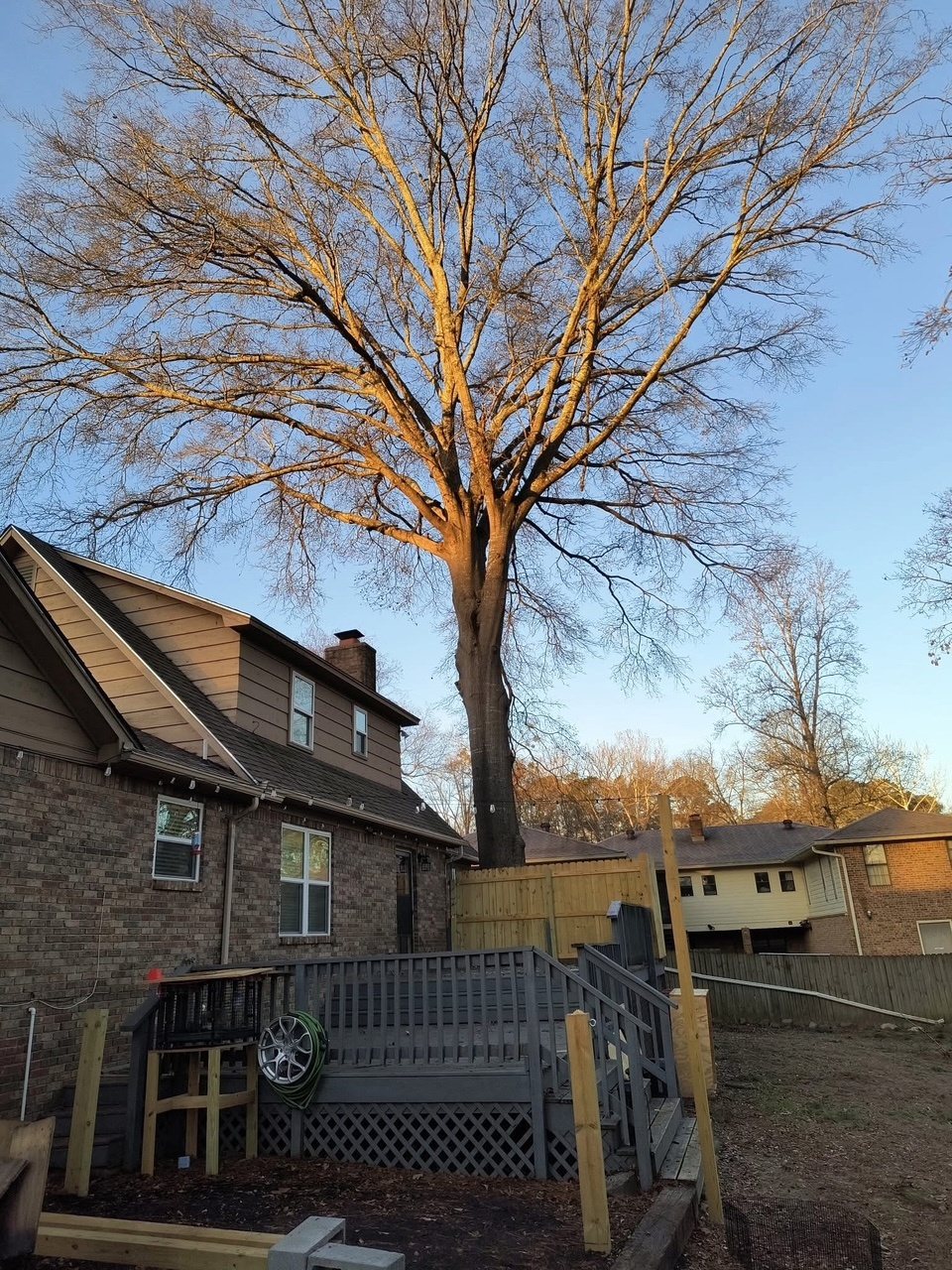 Plyler's Tree Service Image