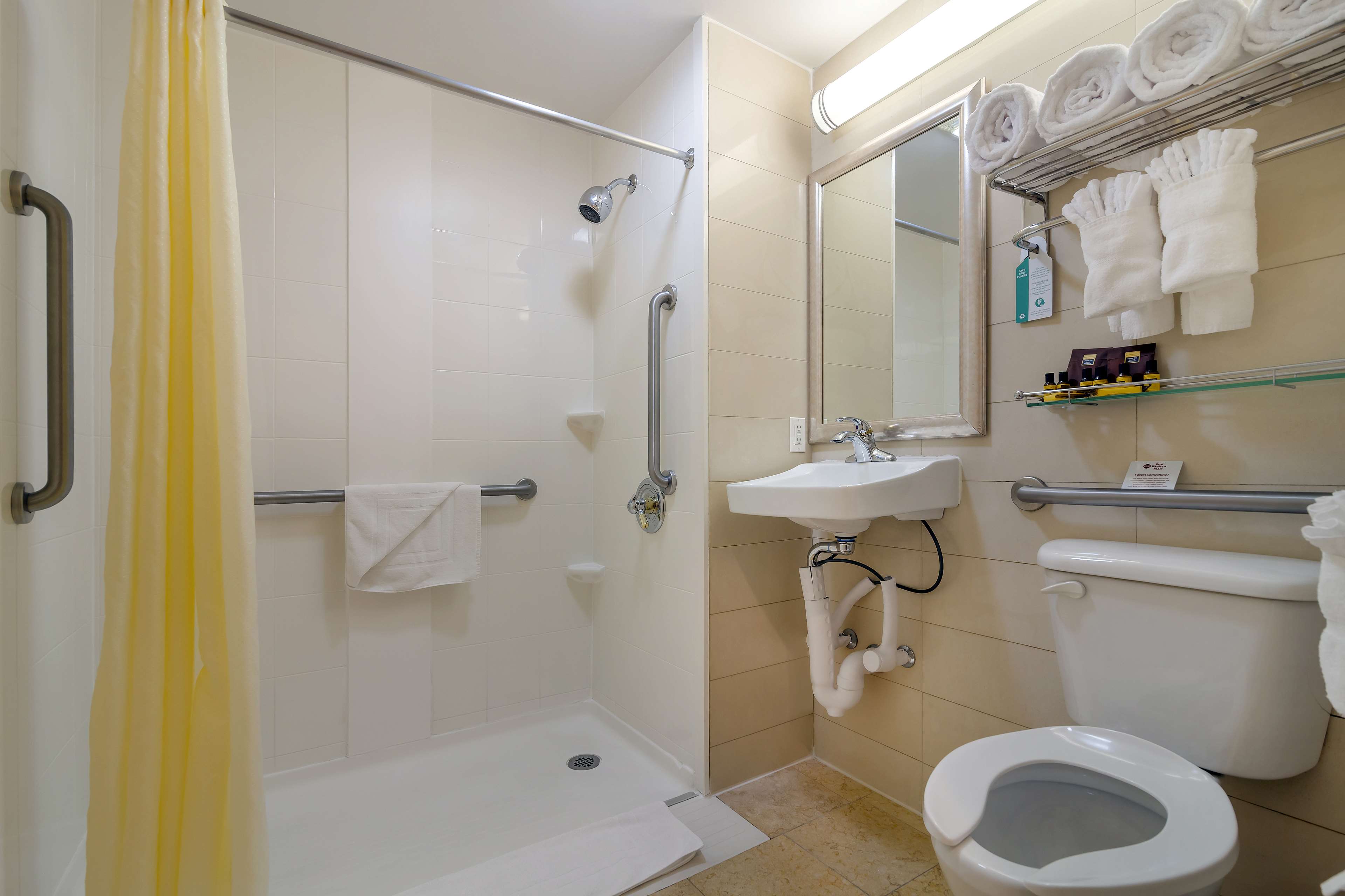 Mobility Accessible Bathroom / Roll In Shower