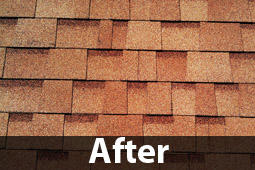 A1 Quality Roofing INC. Photo