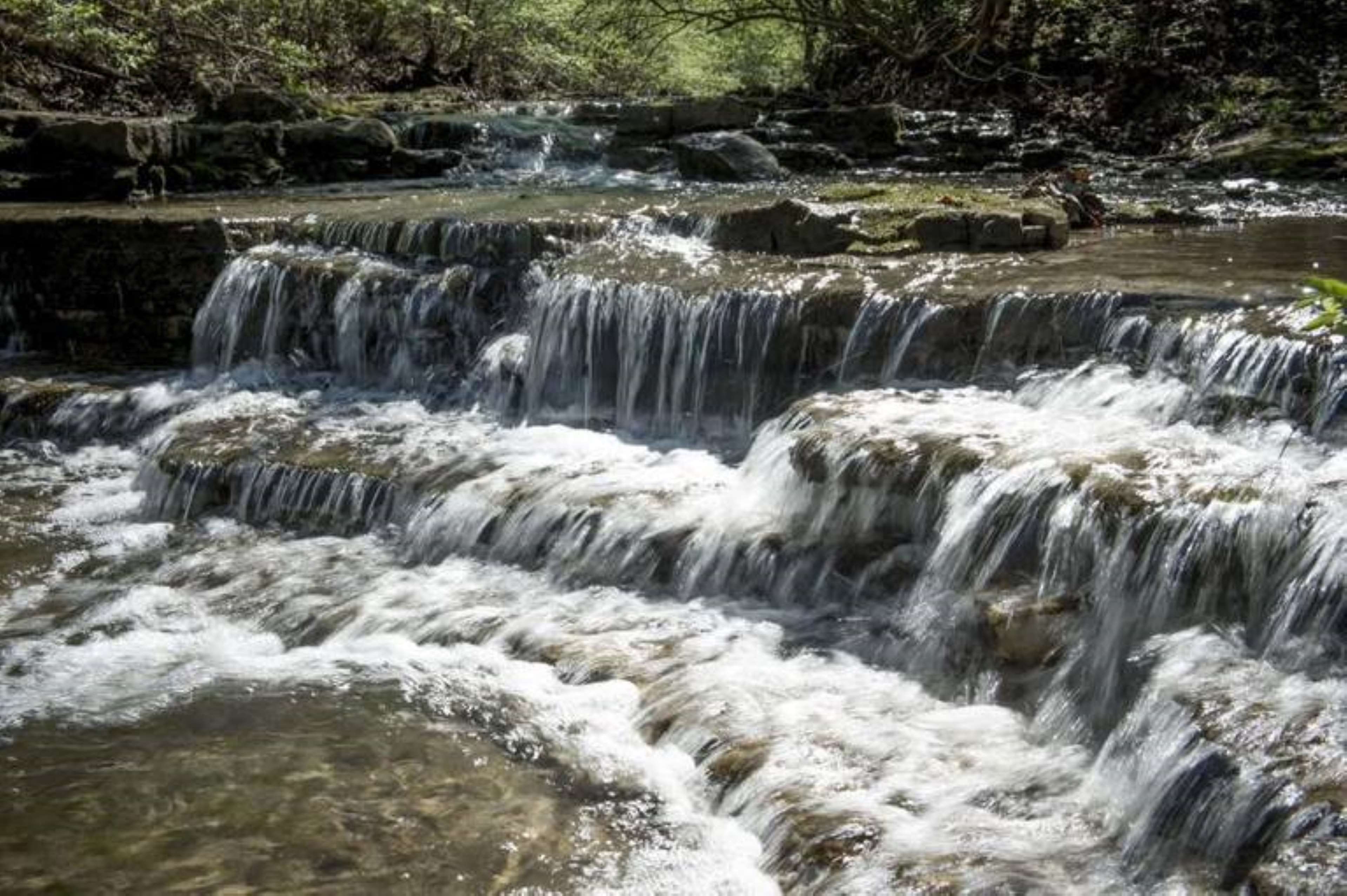 Wyandotte County State Park