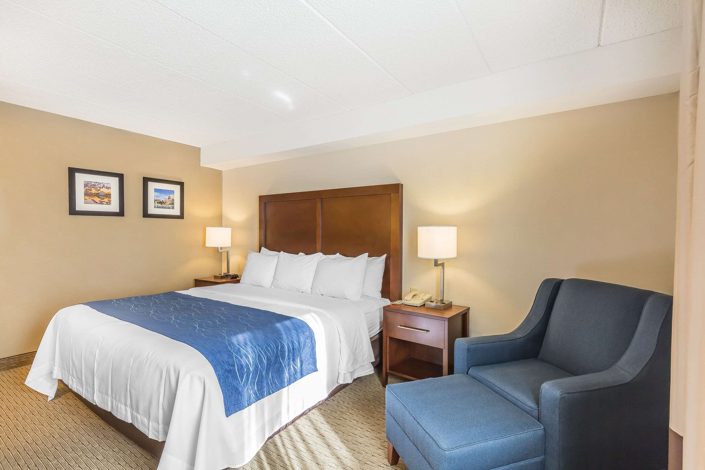 Comfort Inn Shady Grove - Gaithersburg - Rockville Photo