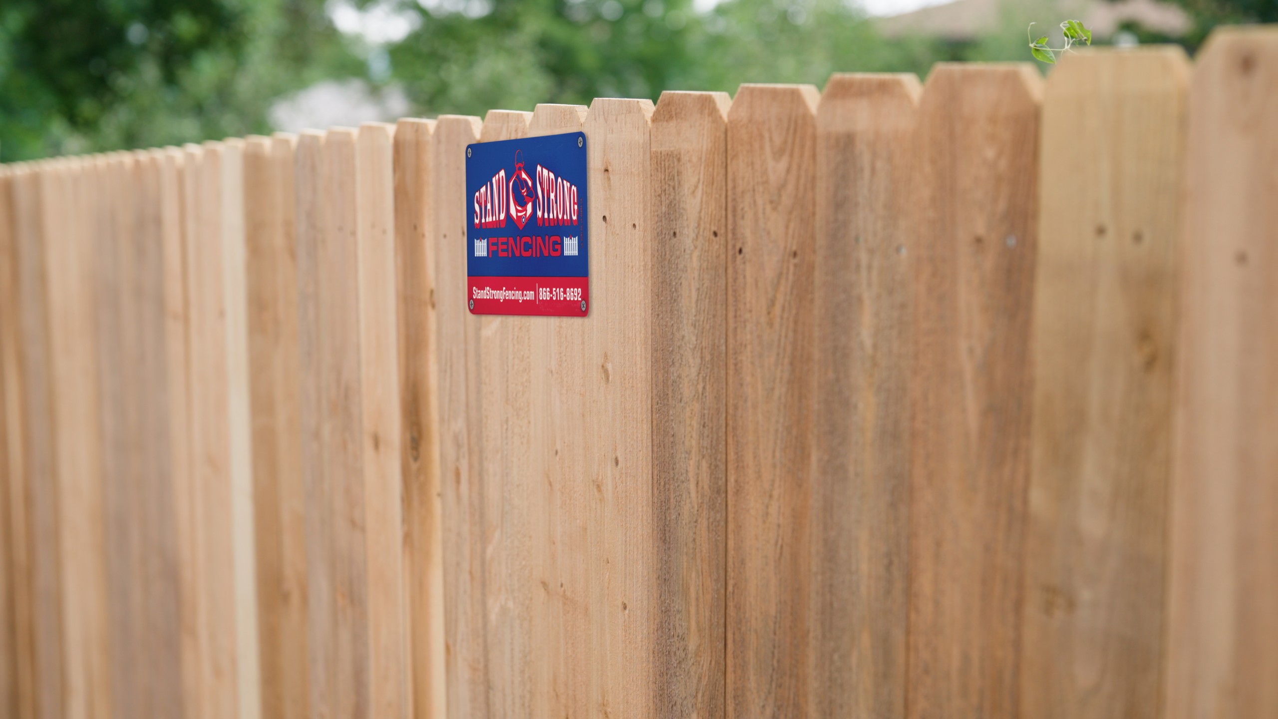 Stand Strong Fencing