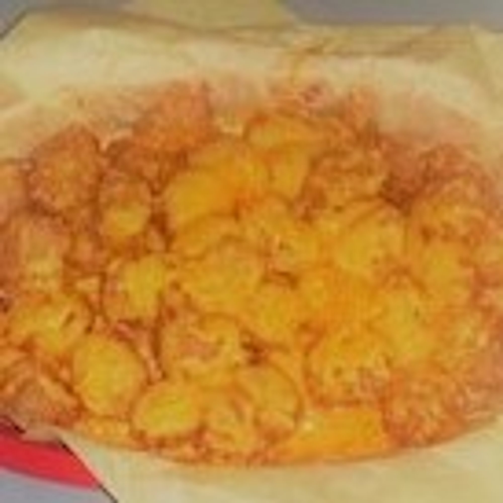 CHEESE TOTTS