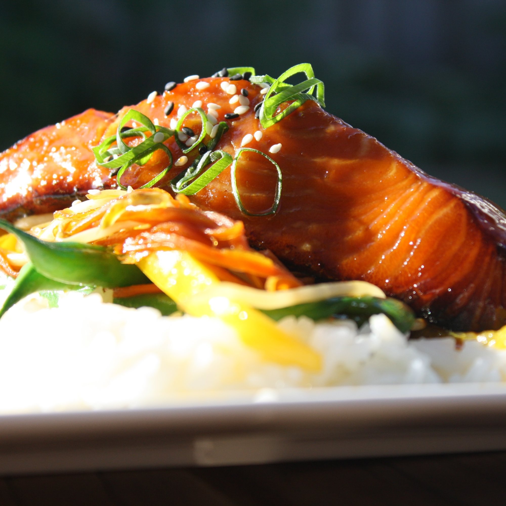 Salmon (center cut) Teriyaki