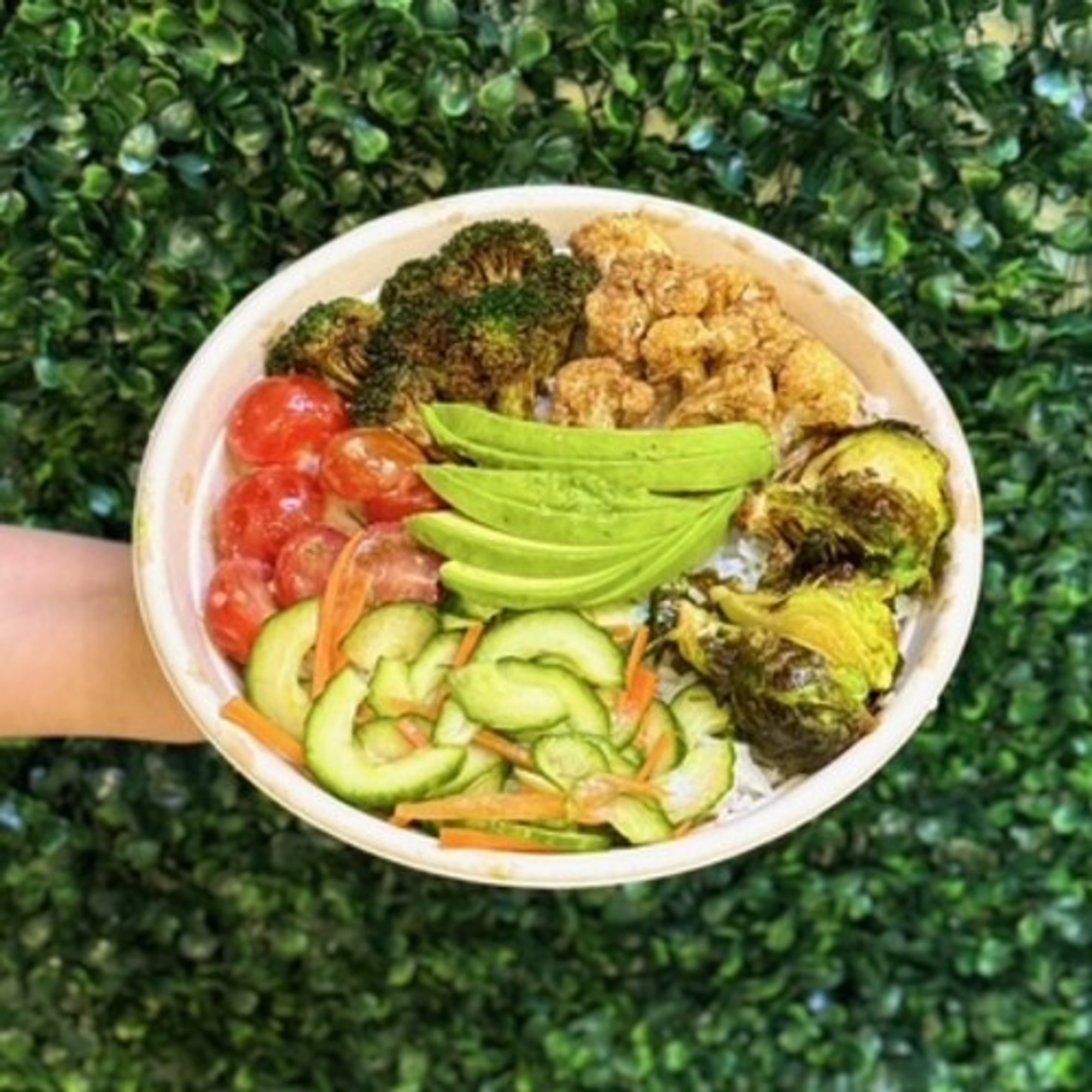 Total Veggie Fresh Green Bowl