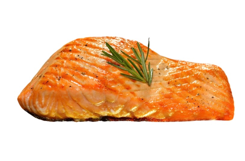 Salmon