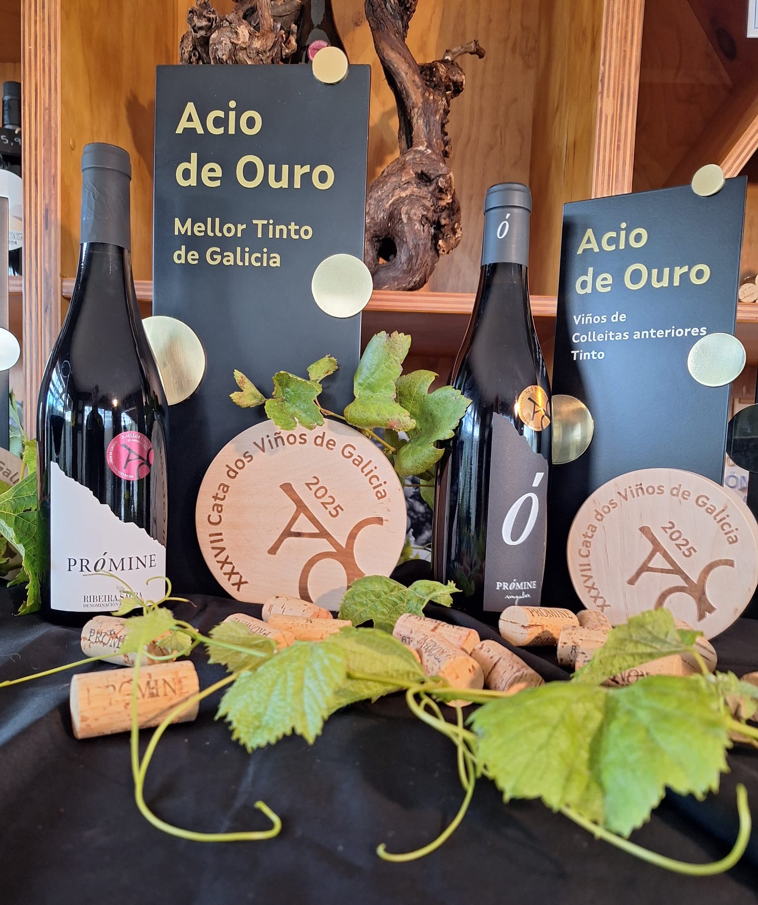 Galería en miniatura