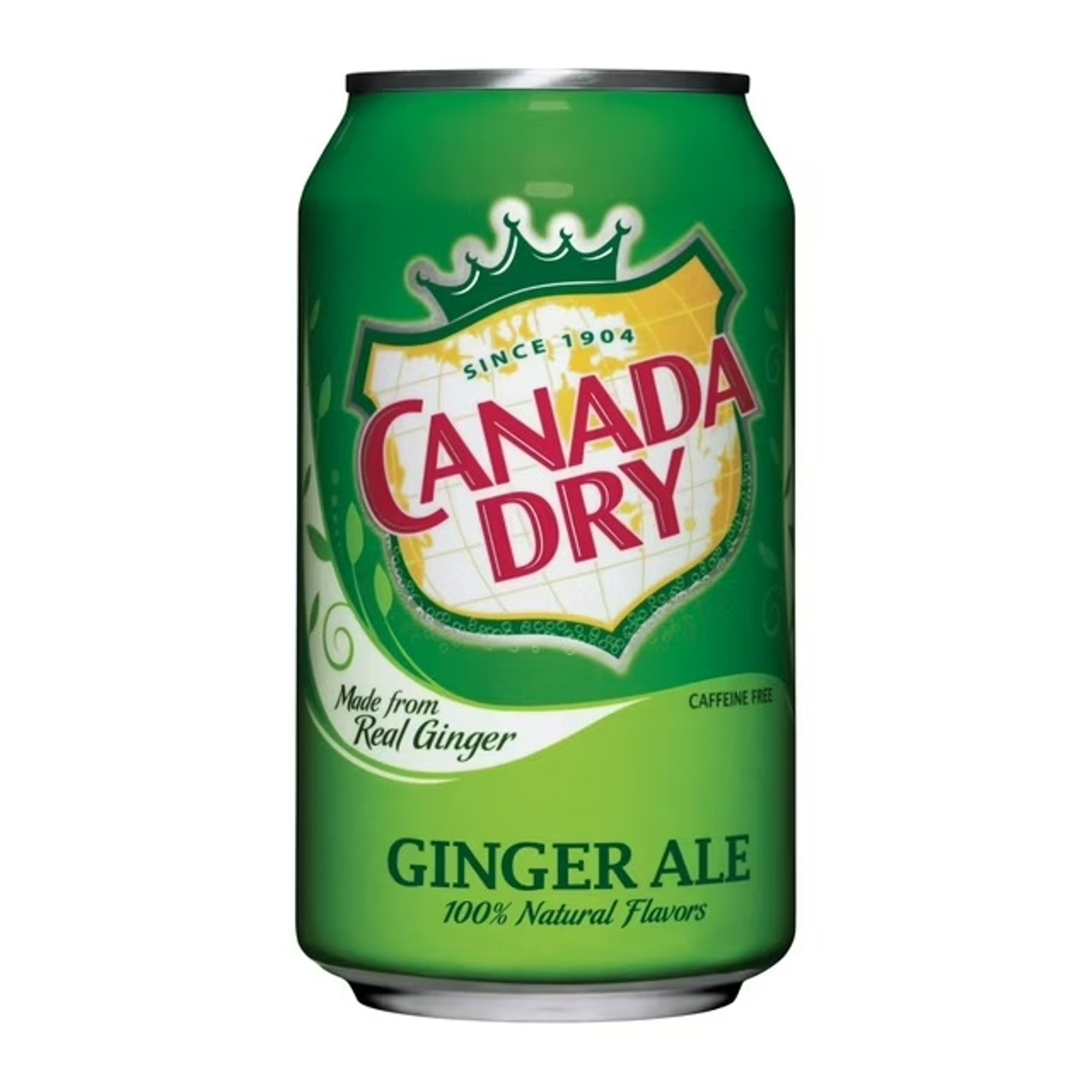 Ginger Ale (Can 12oz)