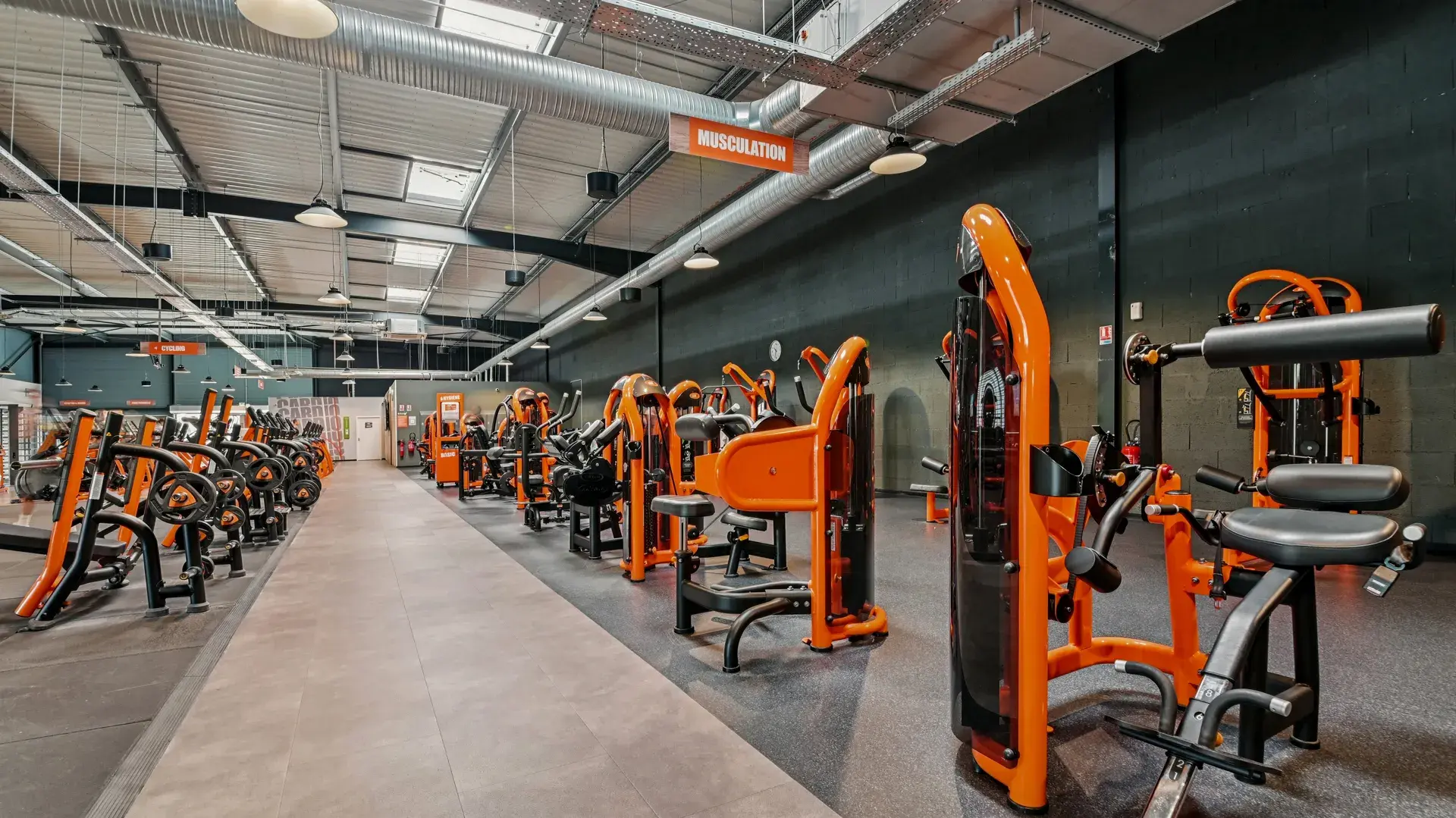 Miniature de la galerie