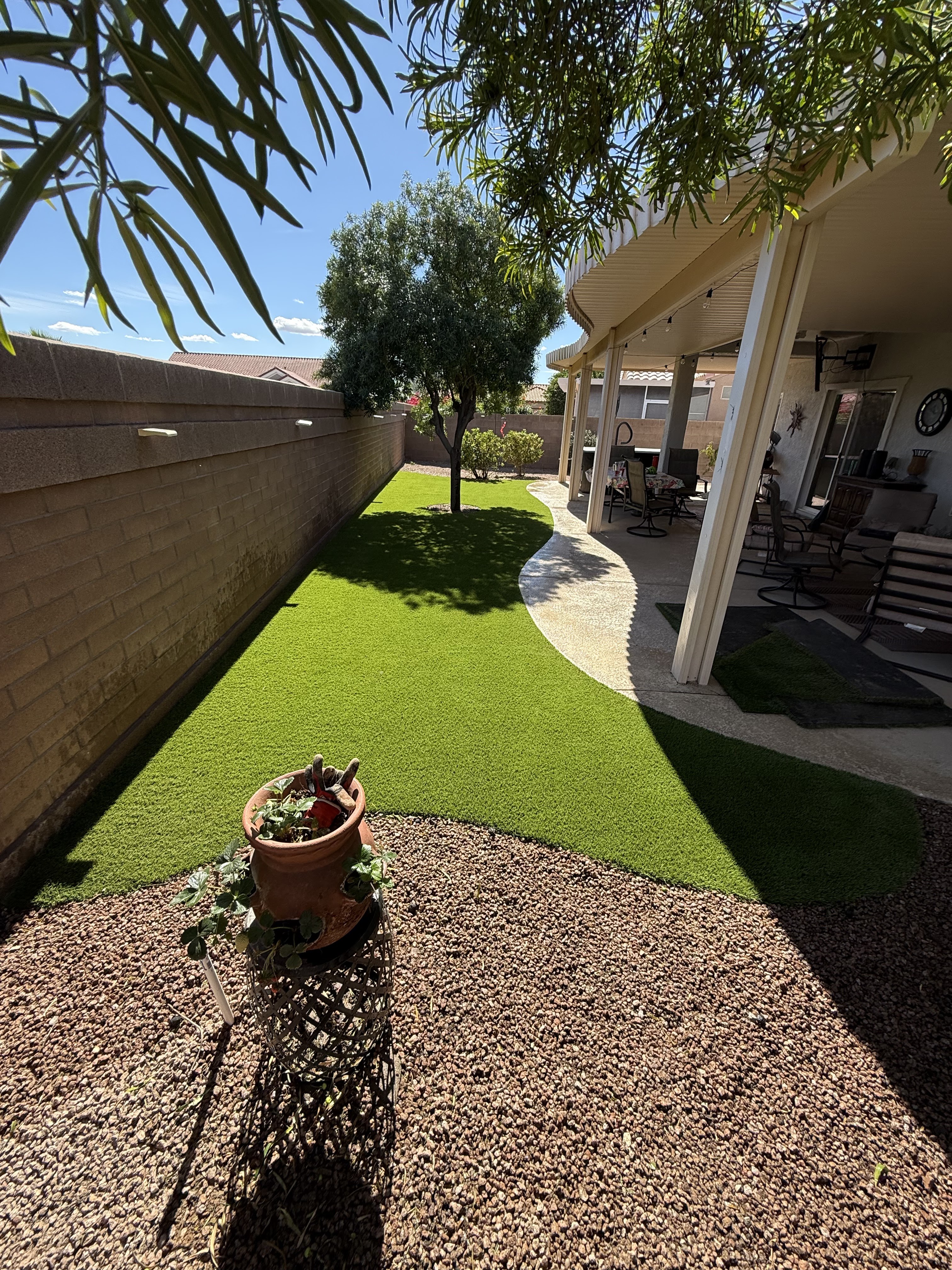 Waterloo Turf Scottsdale Image