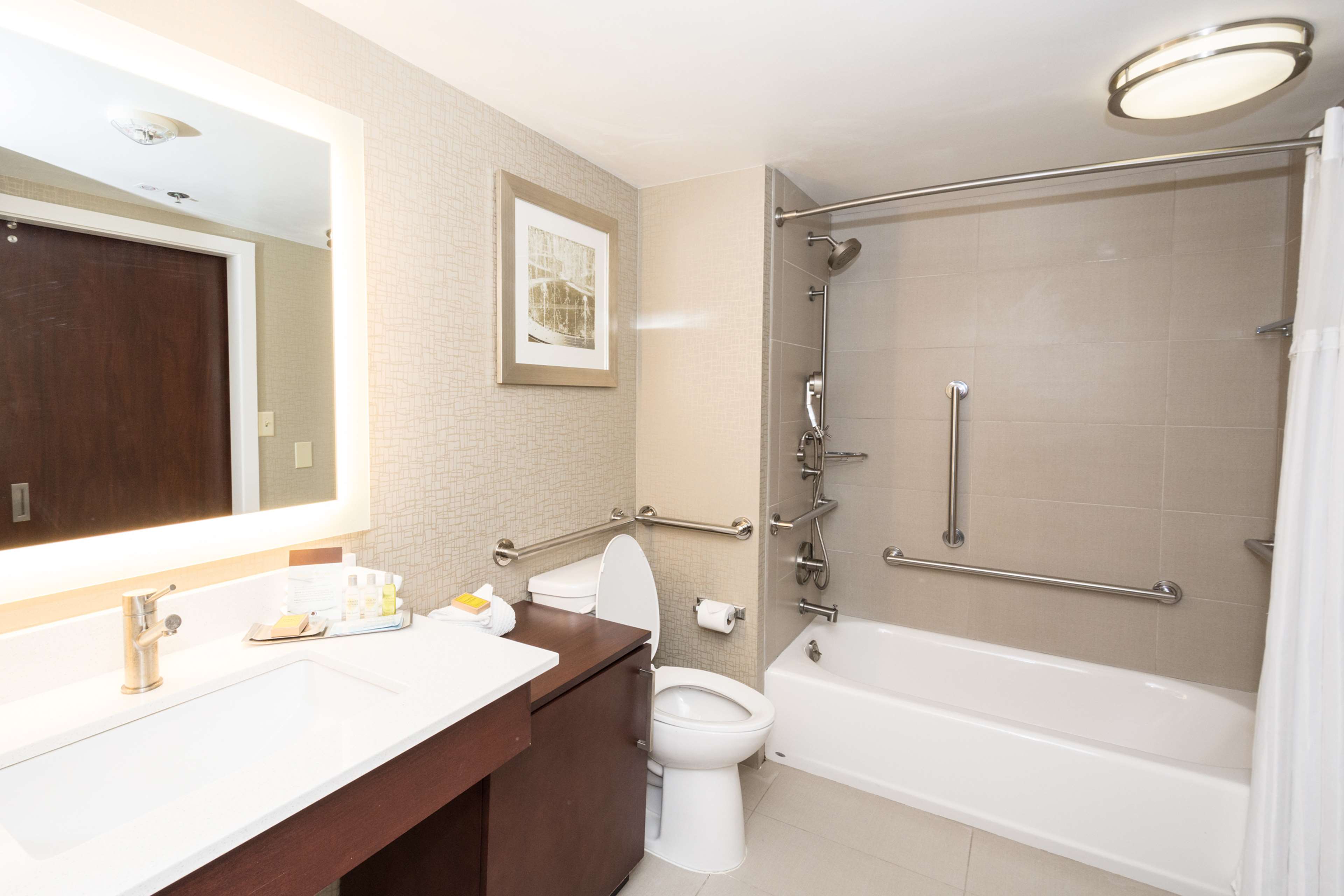 DoubleTree Suites by Hilton Hotel Atlanta - Galleria Photo