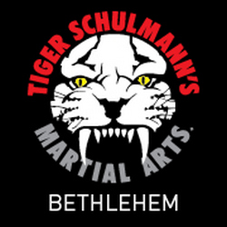 Tiger Schulmann's Martial Arts (Bethlehem, PA) Photo