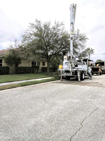 Images Ultimate Lawn Care & Tree Division
