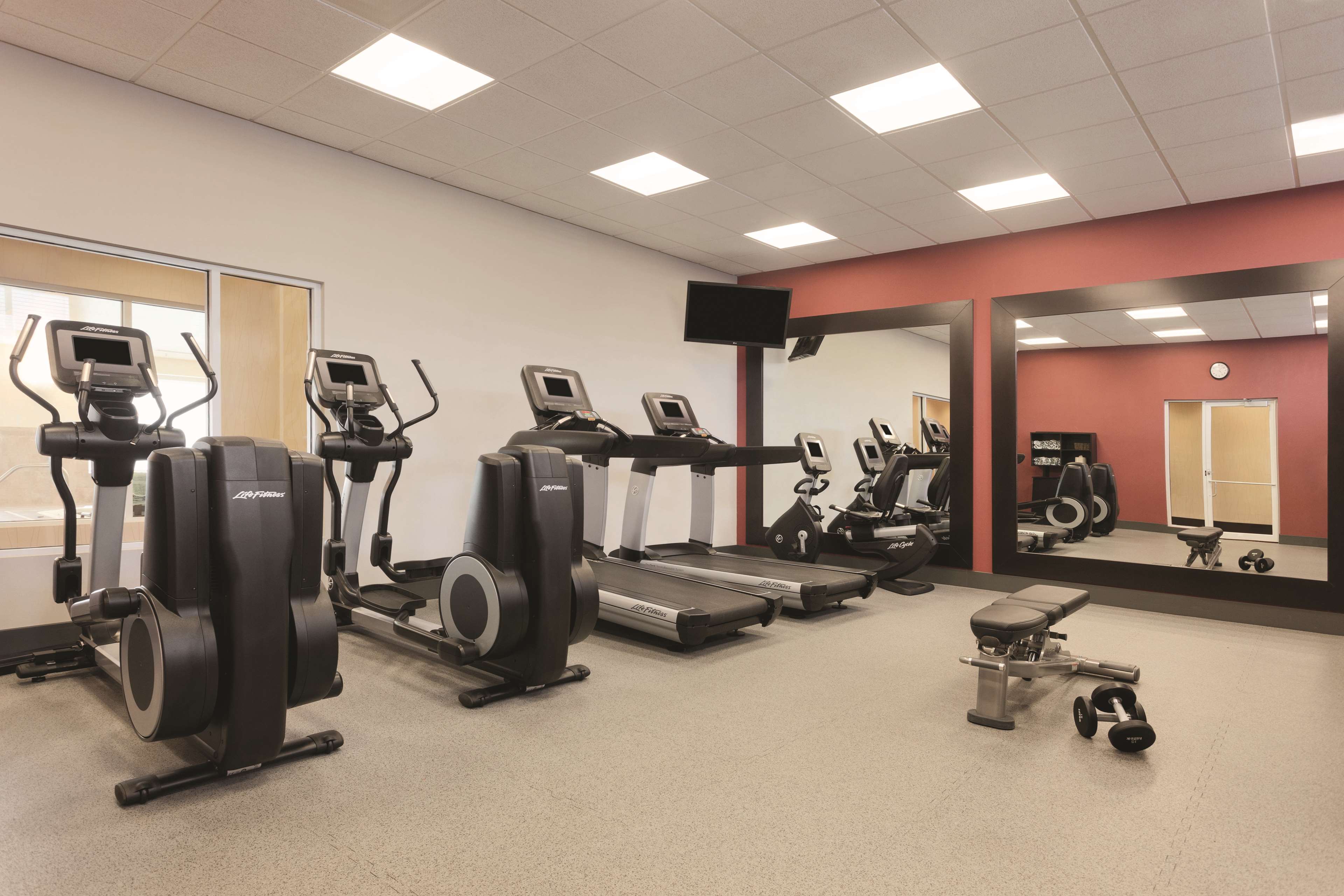 Health club  fitness center  gym