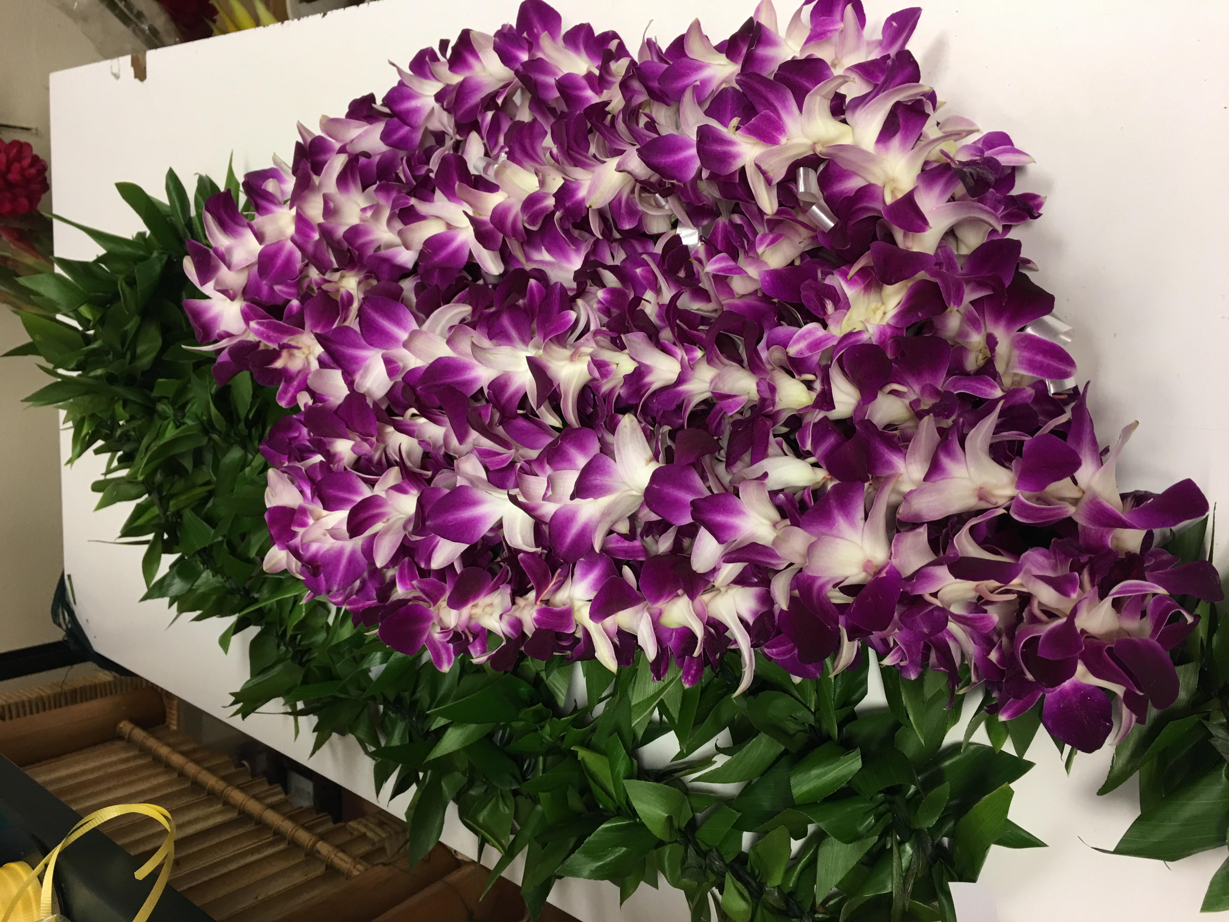 Leis
