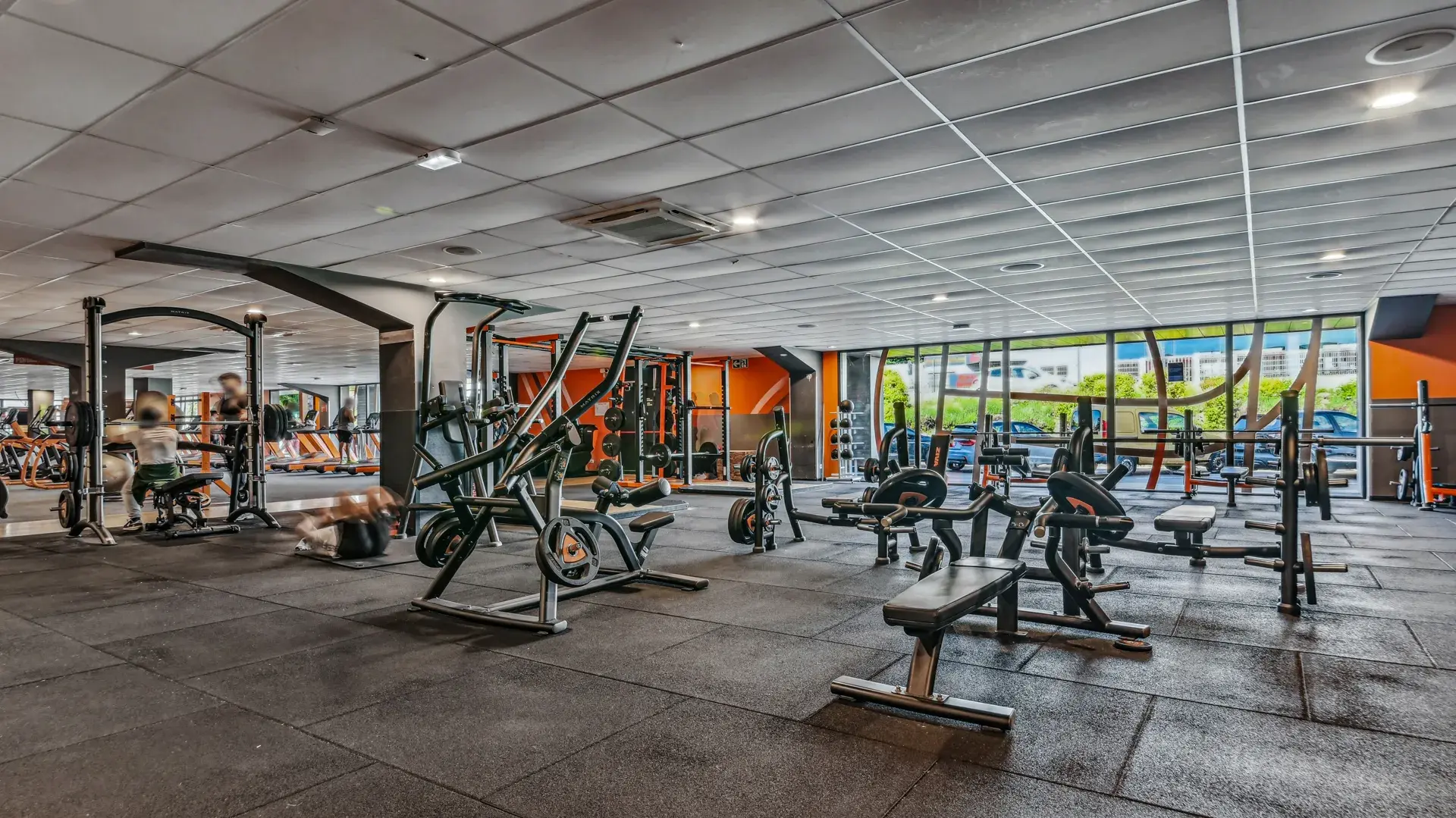 Miniature de la galerie