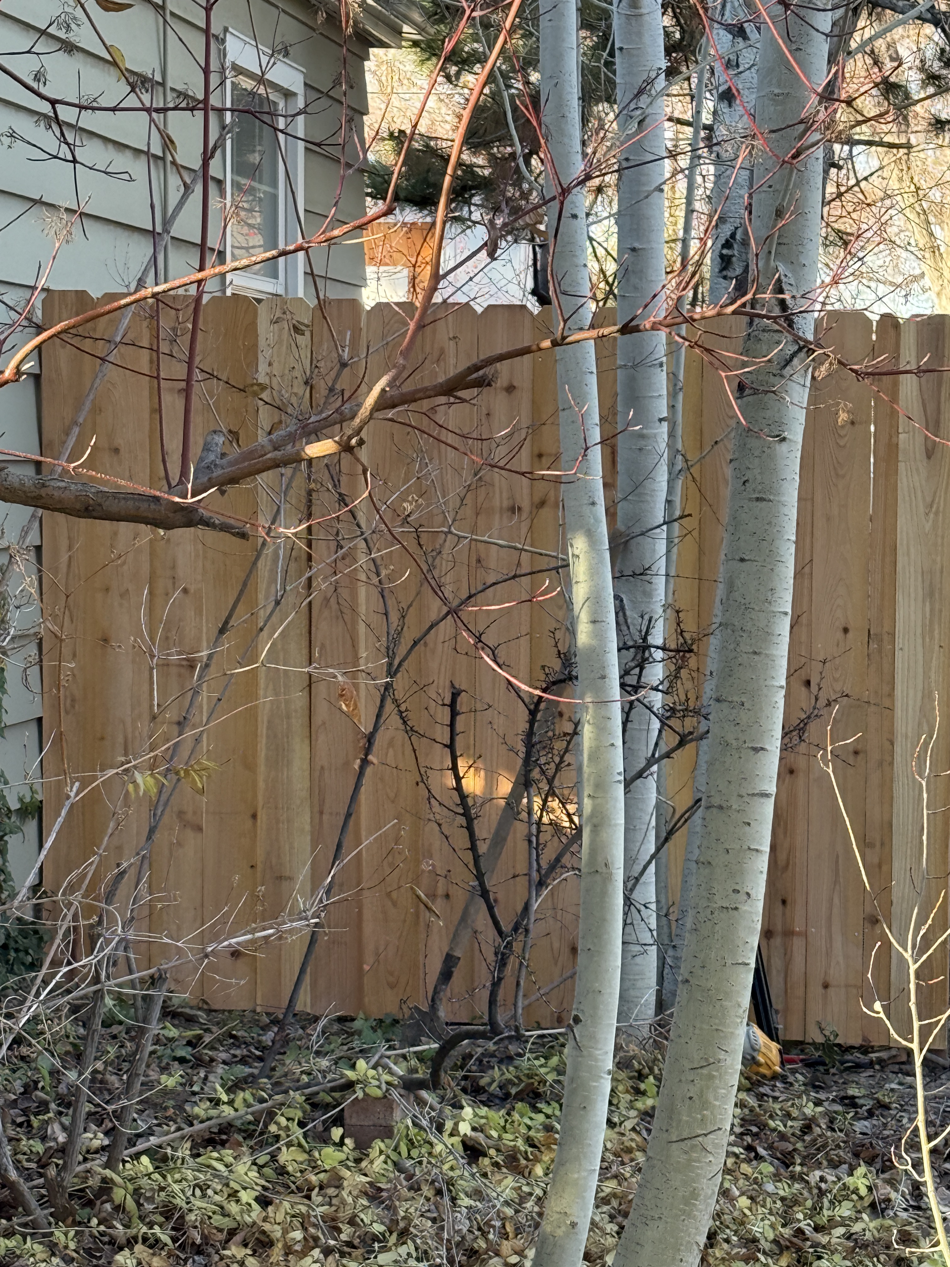 Bear Creek Fencing & Backyard Image