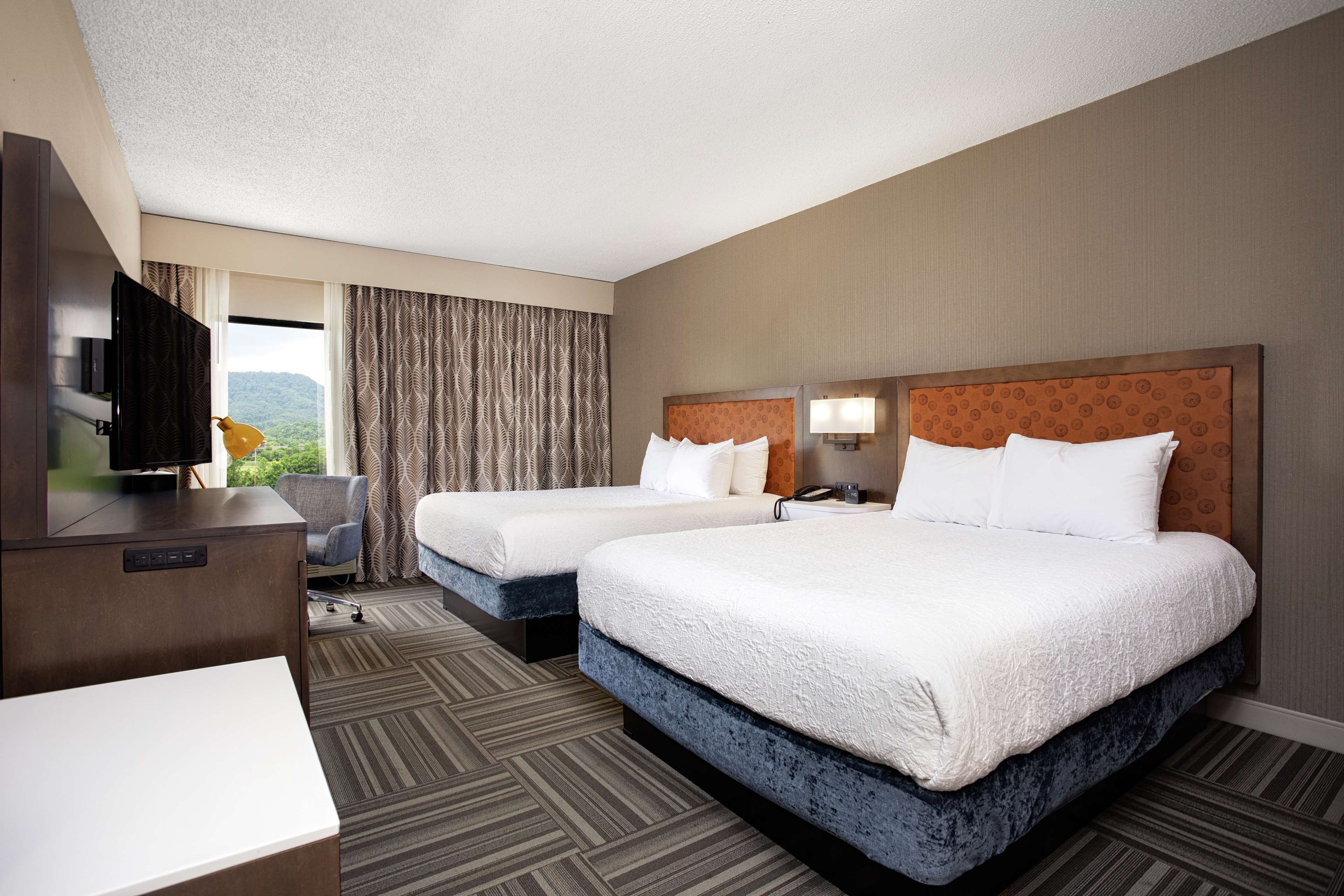 Hampton Inn Kingsport Photo