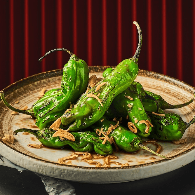 Blistered Shishito Pepper